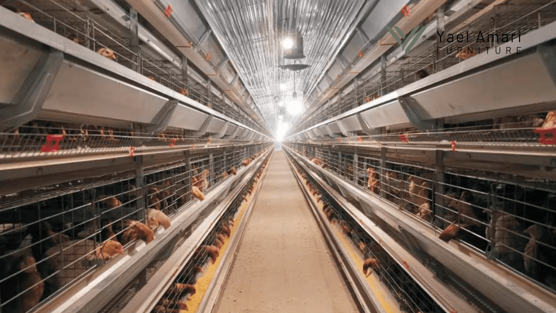 Sistem Closed House Layer / Petelur