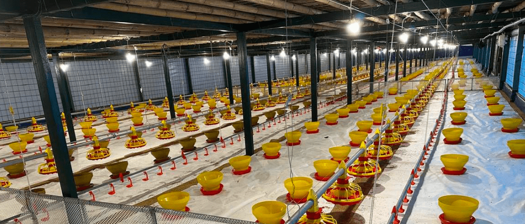 Sistem Feeding Manual