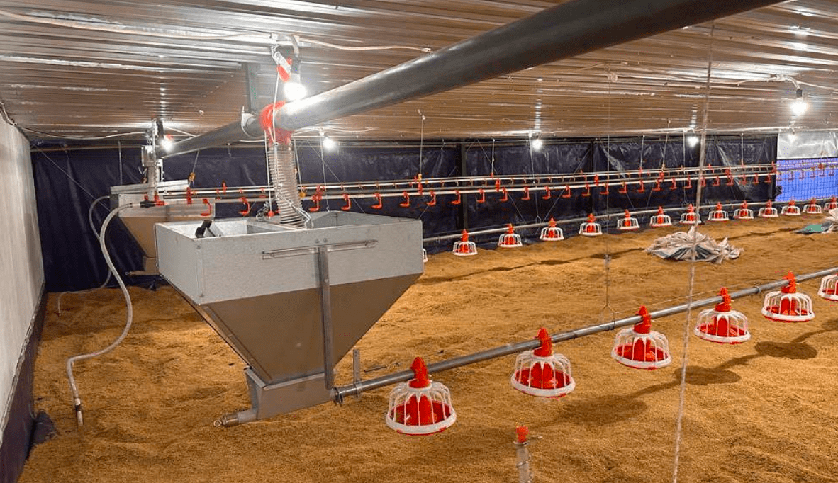 Sistem Feeding Otomatis