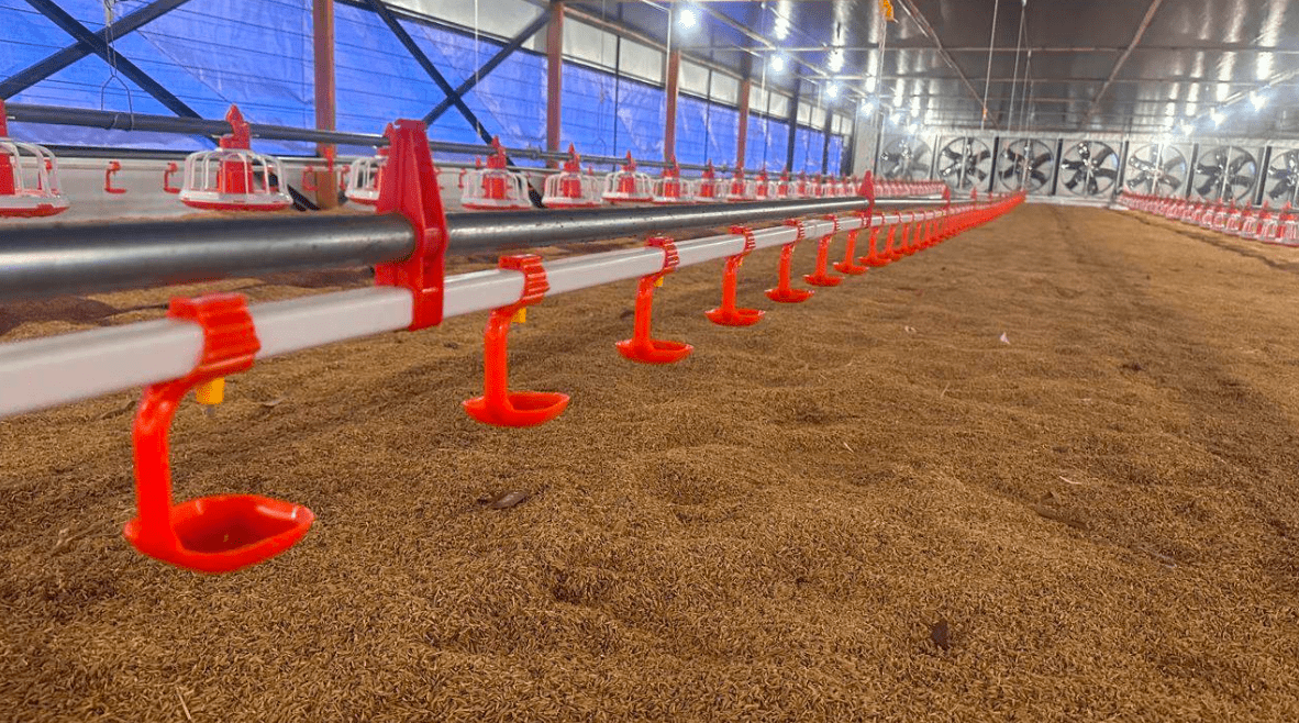 Sistem Minum Otomatis